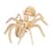 Wonders of Learning Discover Bugs Educational Tin Set